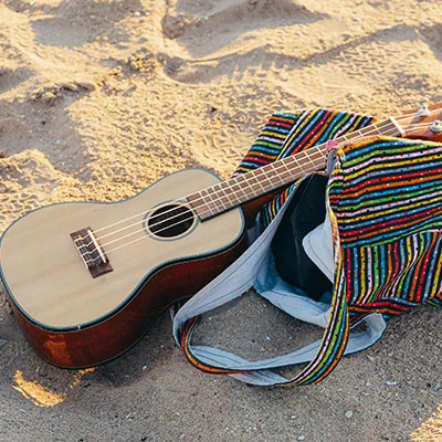 如何使用SS科学上网查水表：全面指南